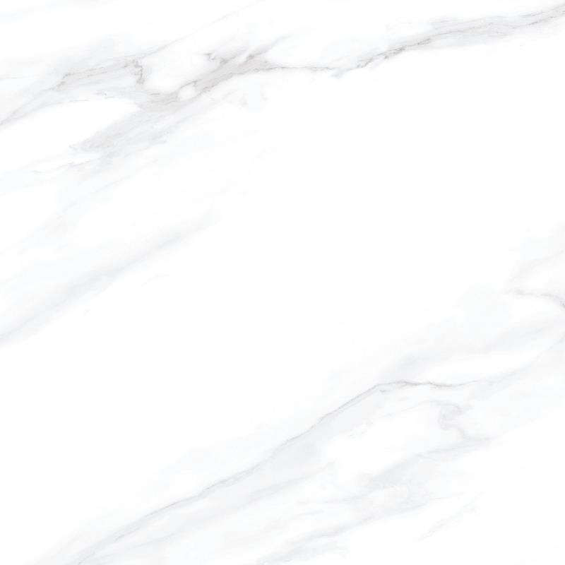 CB8021